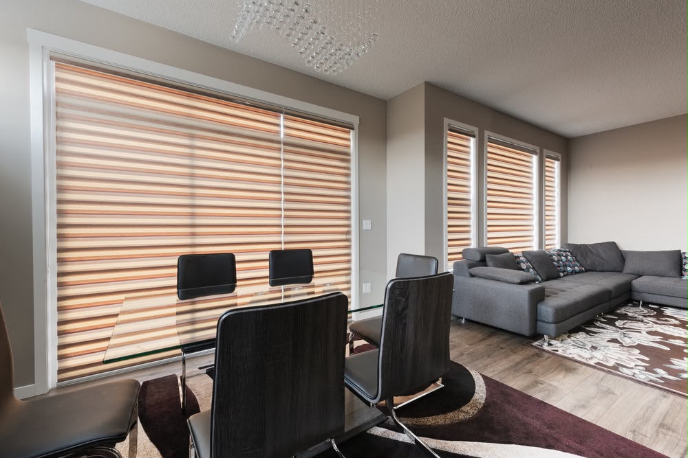 Zebra Blinds
